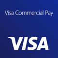 visa-commercial